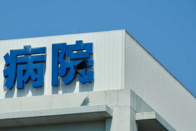 カラスが、上部に大きな青い日本語の文字がある建物の前を飛んでいます。空は澄み渡った青で、建物は白いパネルでできており、看板の下には灰色の部分があります。壁にはカラスの影が映っています。.